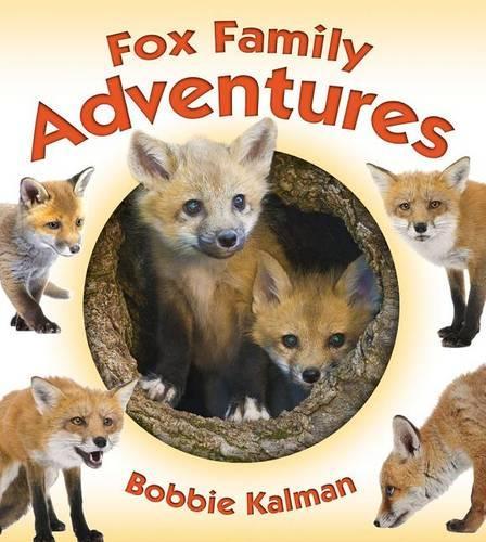 Fox Family Adventures: (Animal Family Adventures)