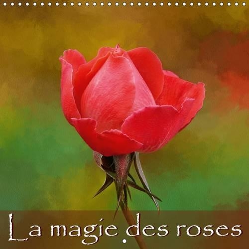 La magie des roses 2016
