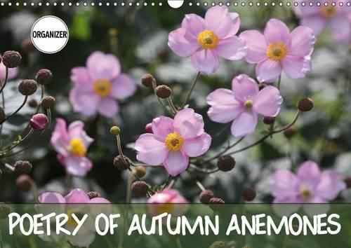 Poetry of Autumn Anemones 2017: A Potpourri of the Delicate Late Summer Flower(Calvendo Nature)