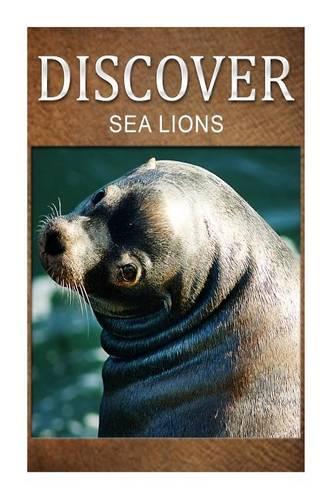 Sea Lion - Discover: Early reader's wildlife photography book(English)