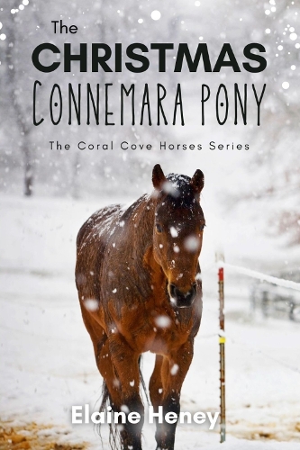 The Christmas Connemara Pony - The Coral Cove Horses Series: (6 The Coral Cove Horses Series)