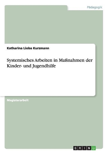 Systemisches Arbeiten in Maßnahmen der Kinder- und Jugendhilfe