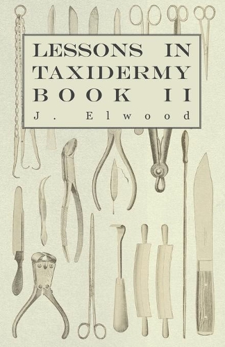 Lessons in Taxidermy - A Comprehensive Treatise on Collecting and Preserving all Subjects of Natural History - Book II.: (English)