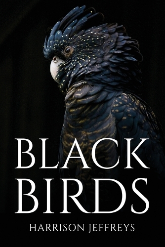 Black Birds