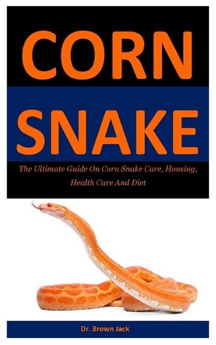 Corn Snake