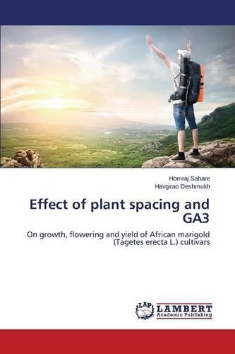 Effect of plant spacing and GA3