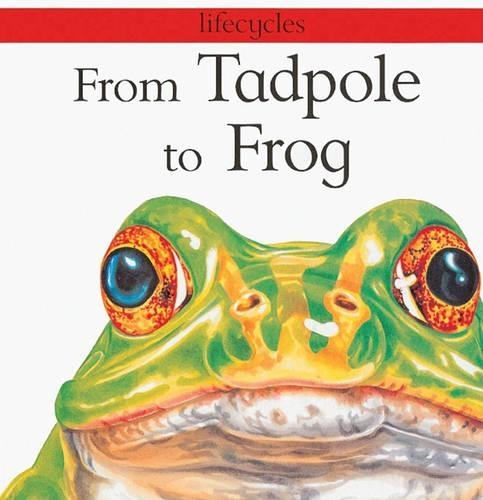 From Tadpole to Frog: (Lifecycles)