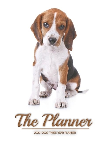 The Planner 2020-2022 three year planner