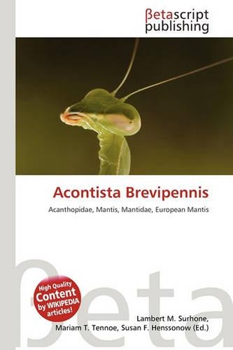 Acontista Brevipennis