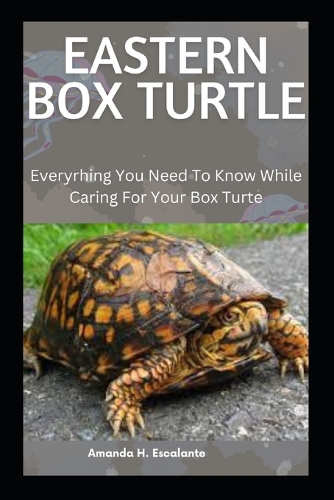 Eastern Box Turtle