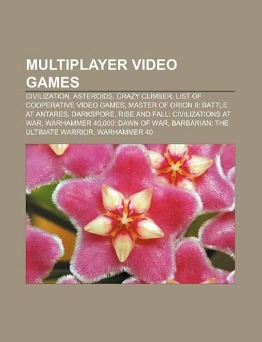 Multiplayer Video Games