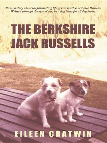 The Berkshire Jack Russells