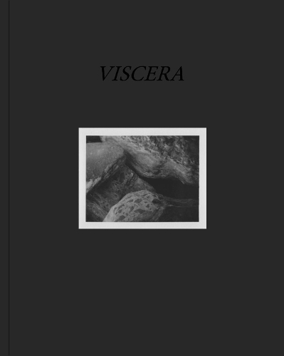 VISCERA