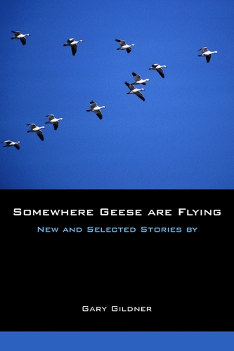 Somewhere Geese are Flying
