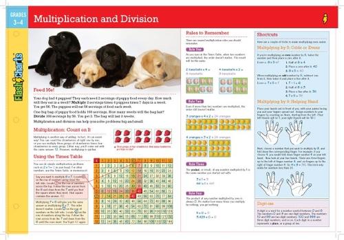 Multiplication and Division FlashCharts