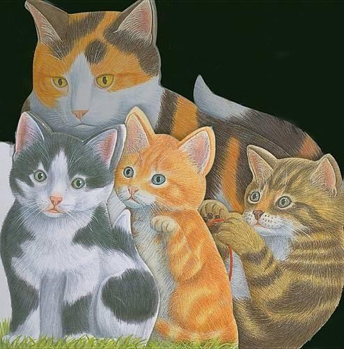 The Kitten/Meo Con: (English)