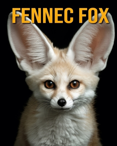Fennec Fox