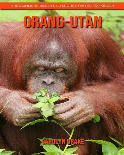 Orang-Utan