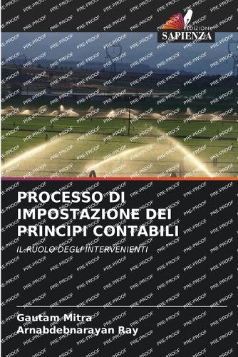 Processo Di Impostazione Dei Principi Contabili