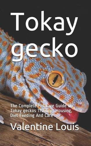 Tokay gecko