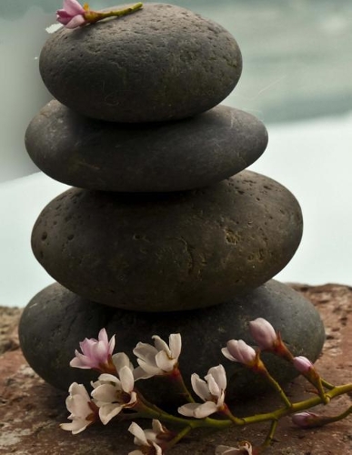 Japanese Writing Practice Book Genkouyoushi Paper