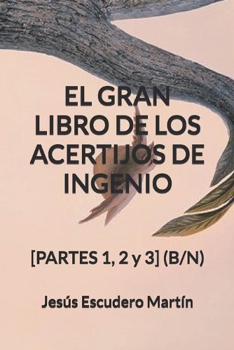 El Gran Libro de Los Acertijos de Ingenio