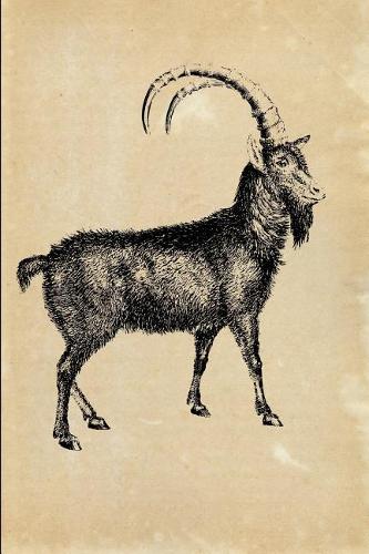 Alpine Ibex (Capra ibex): Vintage Animal Illustration Lined Notebook and Diary