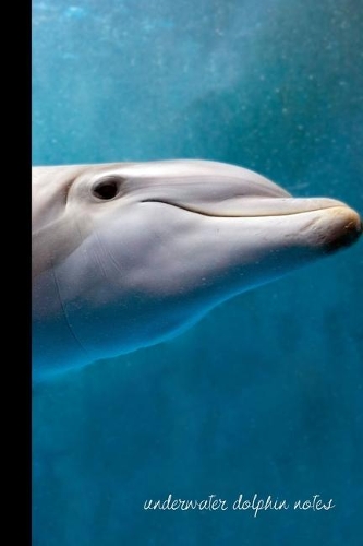 underwater dolphin notes: small lined Dolphin Notebook / Travel Journal to write in (6'' x 9'') 120 pages