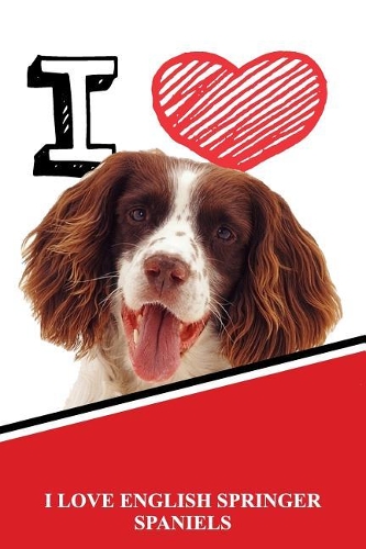 I Love English Springer Spaniels