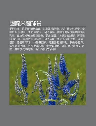 Guo Ji M LAN Qiu Yuan