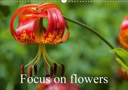 Focus on flowers 2015: Inside the flowers(Calvendo Nature)