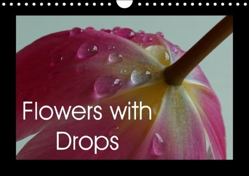 Flowers with Drops 2018: A Cheerful Selection of Colorful Flowers Covered with Drops(Calvendo Nature)