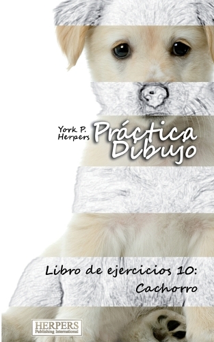 Práctica Dibujo - Libro de ejercicios 10: Cachorro(10 Práctica Dibujo)