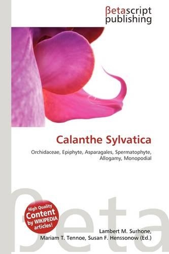 Calanthe Sylvatica