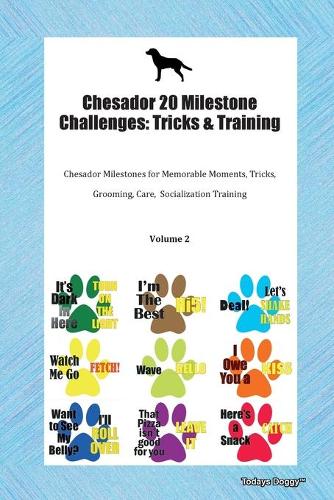 Chesador 20 Milestone Challenges