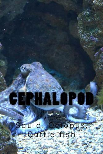Cephalopod