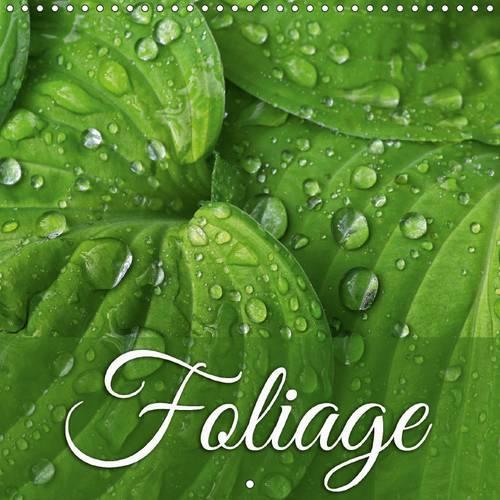 Foliage 2015: Enjoy 12 stunning variations of foliage(Calvendo Nature)