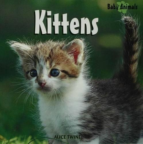 Kittens