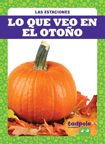Lo Que Veo En El Otoño (What I See Fall): (Las Estaciones)