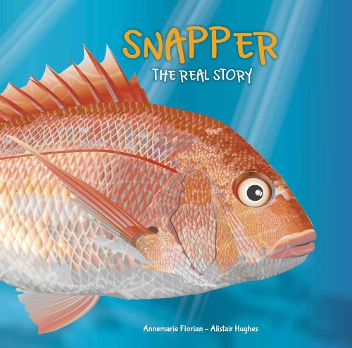 Snapper