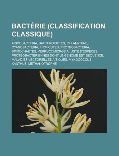 Bacterie (Classification Classique)
