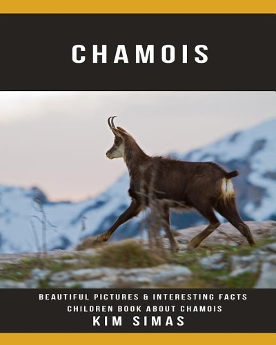 Chamois