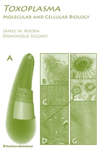 Toxoplasma: Molecular and Cellular Biology