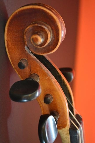 Violin Close Up Journal