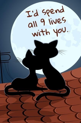 I'd Spend All 9 Lives With You.