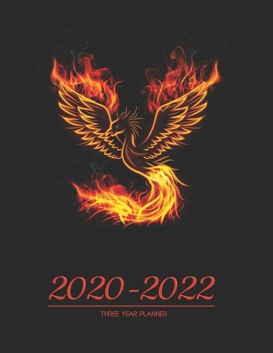 2020-2022 three year planner