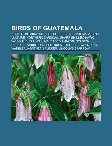 Birds of Guatemala