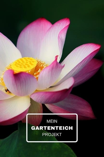 Mein Gartenteich Projekt