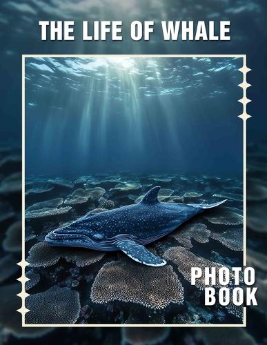 The Life of Whale Photo Book