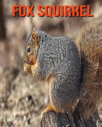 Fox Squirrel: Fun Facts & Cool Pictures
